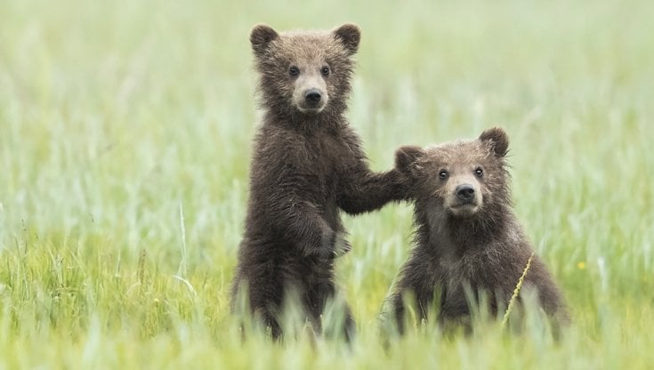 Pin su Cuccioli umani / Babies